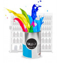 T4W Acrylic Paint 2K RAL 7009 RAL344 (Grungrau 2c)