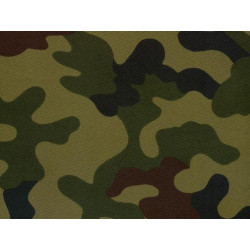 T4W PRO CAMO Military paint WP PANTERA 93 MAT 1.6L