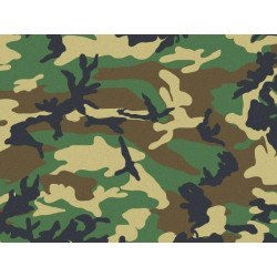 T4W PRO CAMO Military paint US WOODLAND MAT / 1.6L