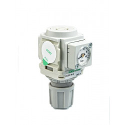 CKD R1000-8G Air filter pressure regulator 1/4"