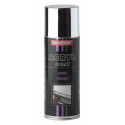 Troton IT Acrylic Paint Silver Chrome Spray 400ml